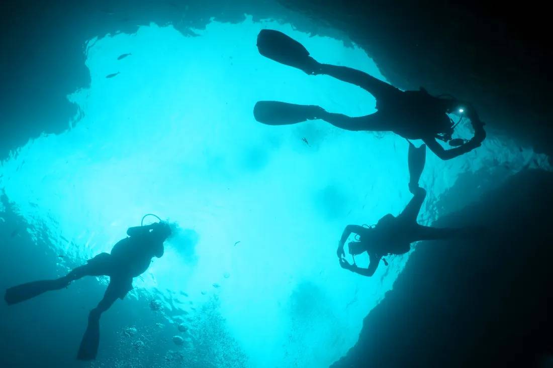 Dive Safari